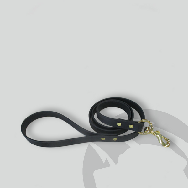 Team Dog Training Biothane Leash - Black