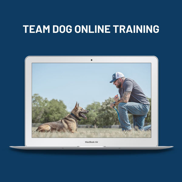 Team Dog Perfect Online Training Subscription - Yearly