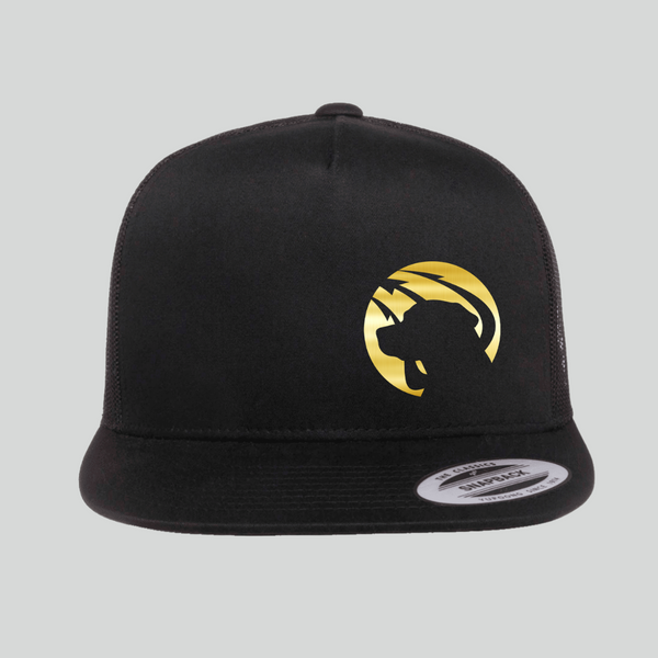 Team Dog Elite Hat - Black