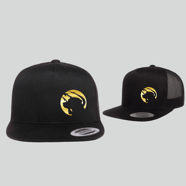 Team Dog Elite Hat - Black