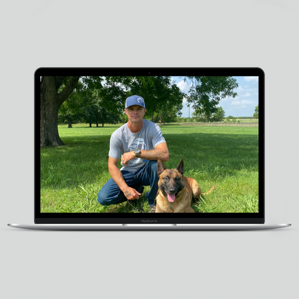 Team Dog Trainer Personal Consultation